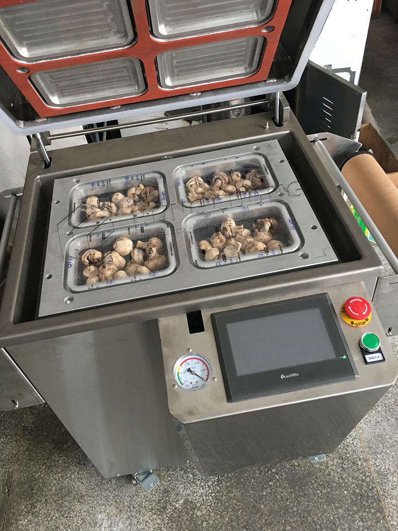 May-dong-goi-hut-chan-khong-khay-thuc-pham-dmp-430a (10)