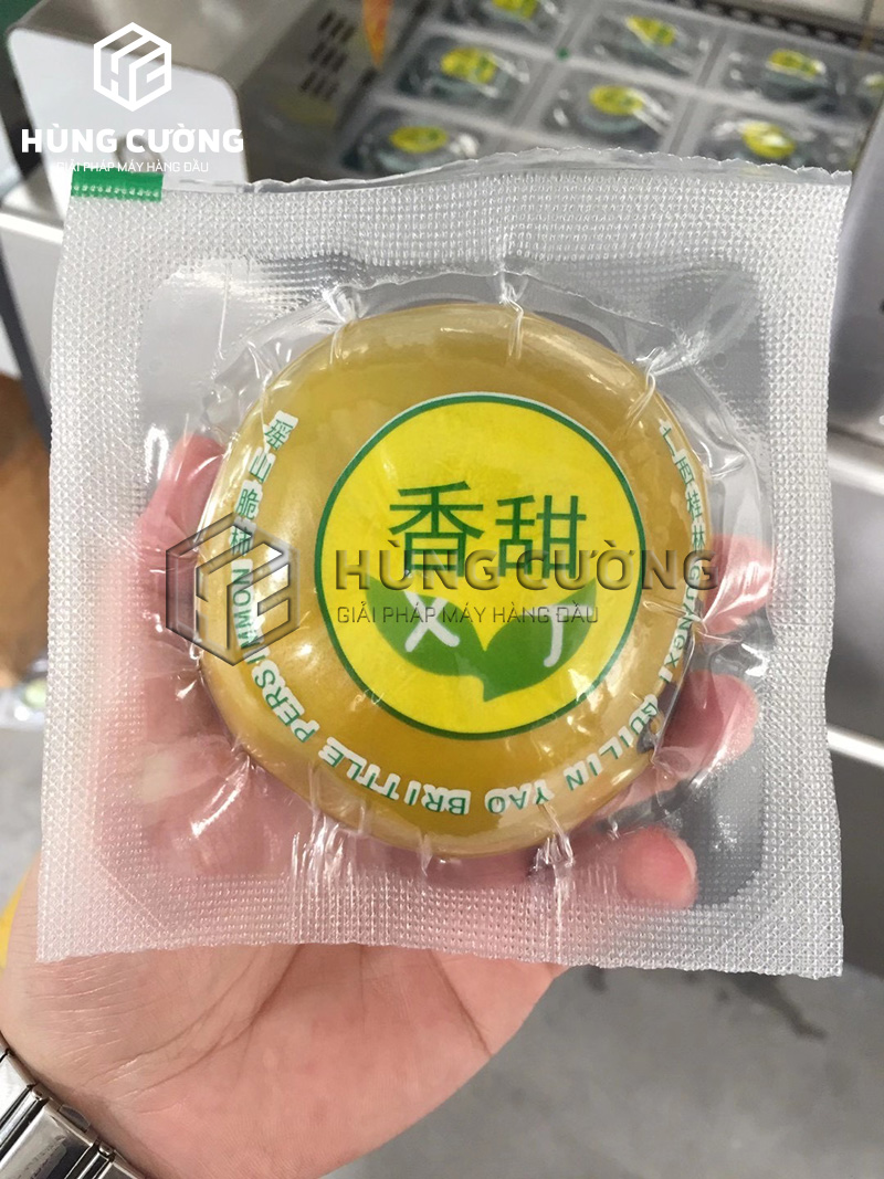 May-dong-goi-hut-chan-khong-nhiet-dinh-hinh-trai-cay (5)