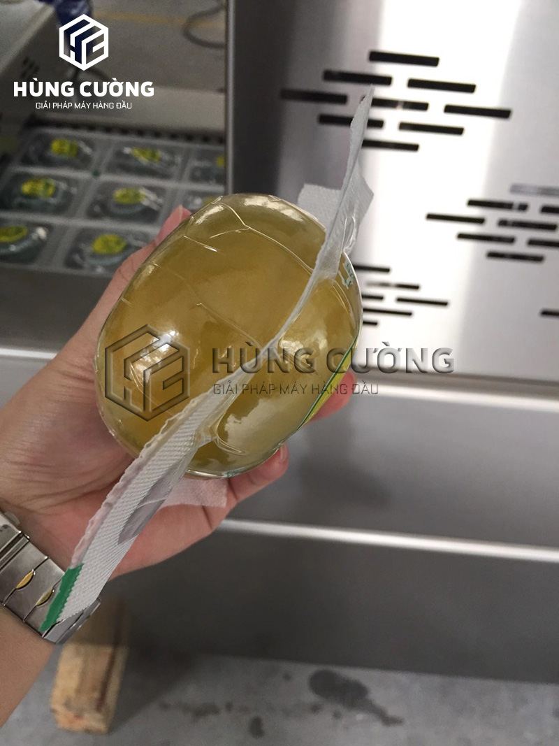 May-dong-goi-hut-chan-khong-nhiet-dinh-hinh-trai-cay (7)