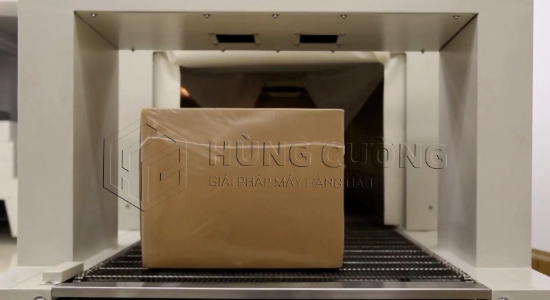 Day-chuyen-dong-goi-mang-co-dang-ho-tu-dong (20)